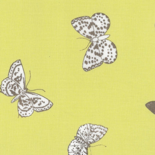 Baumwolle "Gent" Schmetterlinge