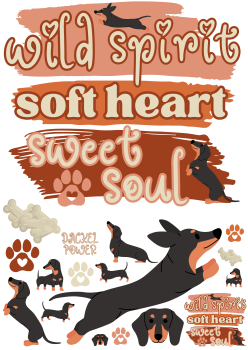 Bügelbild wild spirit soft heart wild soul