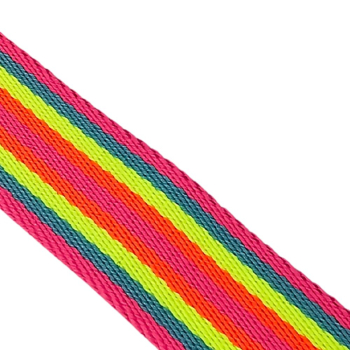 Preview: 2,5 cm Gurtband "Neon City"